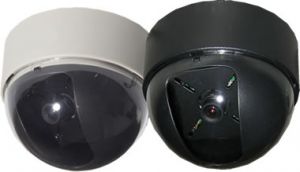 Dome cameras.jpg